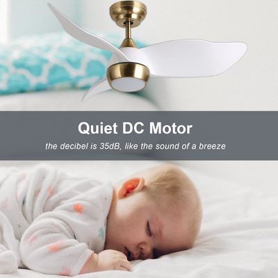 Ventilatore di soffitto bianco intelligente con 6 velocità regolabili e controllo vocale