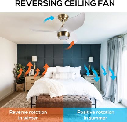 Ventilatore di soffitto bianco intelligente con 6 velocità regolabili e controllo vocale