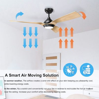 Ventilatore di soffitto da 52 pollici Design ottimizzato Downrod esterno montato Ventilatore di soffitto con luce