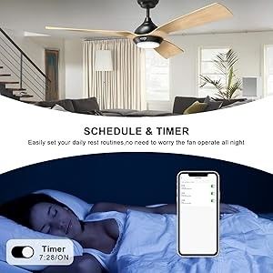 Ventilatore di soffitto da 52 pollici Design ottimizzato Downrod esterno montato Ventilatore di soffitto con luce