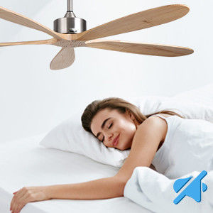 Ventilatore di soffitto intelligente con luce silenziosa e risparmio energetico Scelta a 6 velocità Compatibile con Alexa / Google Home