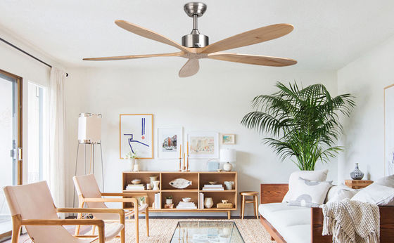 Ventilatore di soffitto intelligente con luce silenziosa e risparmio energetico Scelta a 6 velocità Compatibile con Alexa / Google Home