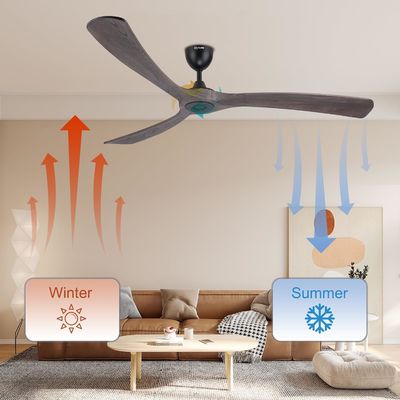 Ventilatore di soffitto intelligente a 6 velocità con luce controllata da Alexa