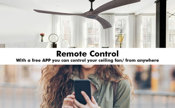 Ventilatore di soffitto intelligente a 6 velocità con luce controllata da Alexa